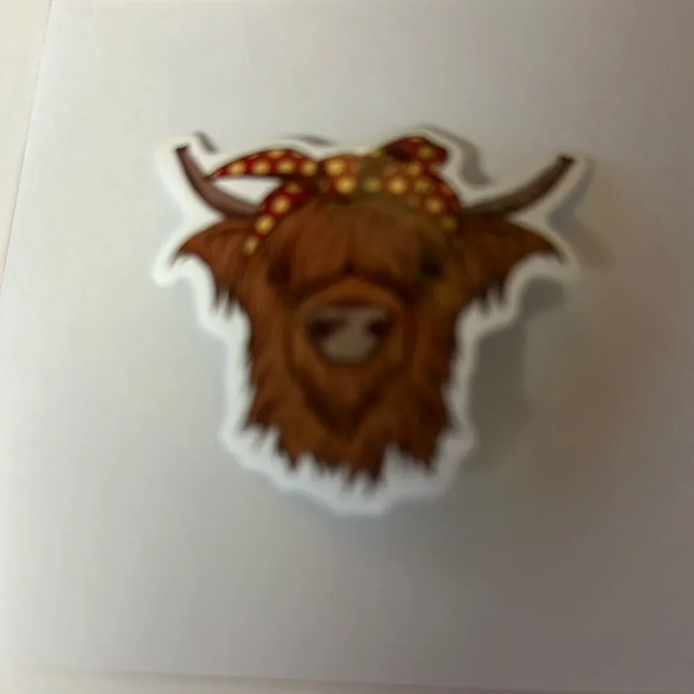 Scottish Highland Cow